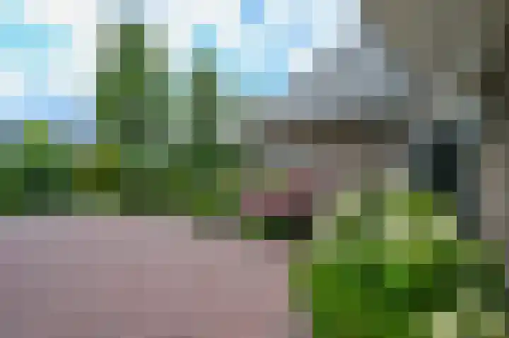 Nolweg 2 D Maasdijk thumbnail 67