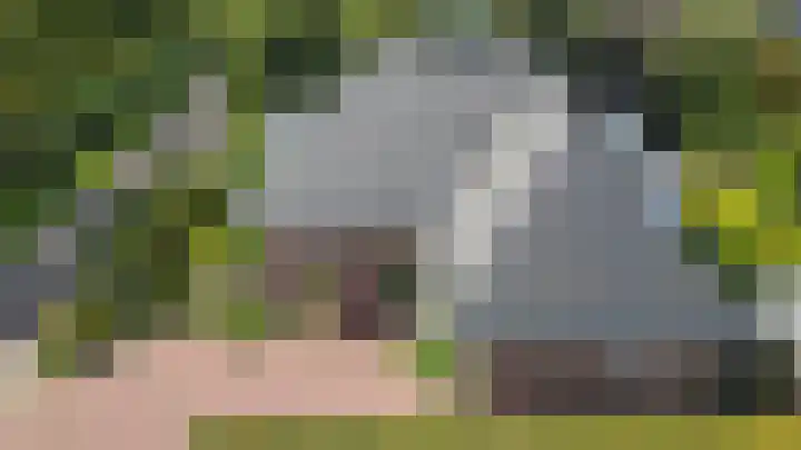 Nolweg 2 D Maasdijk thumbnail 71
