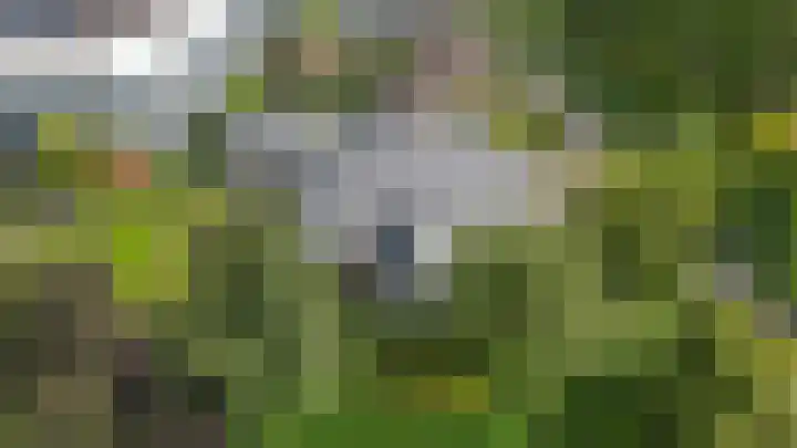 Nolweg 2 D Maasdijk thumbnail 72