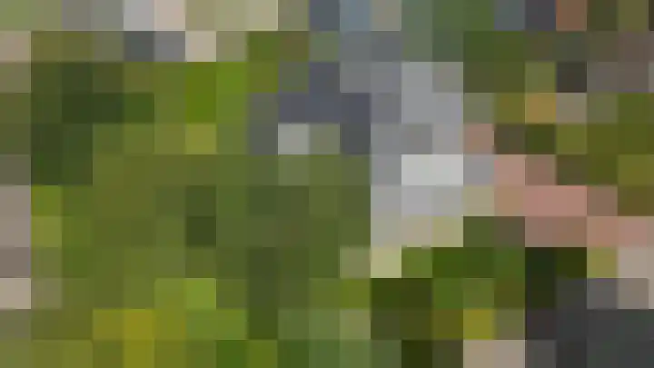 Nolweg 2 D Maasdijk thumbnail 73