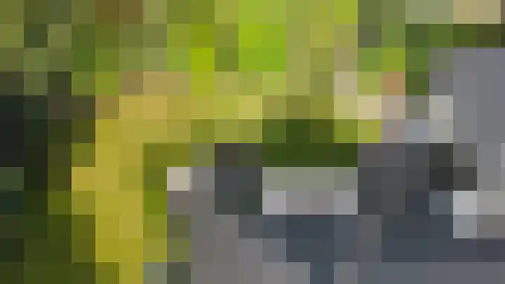 Nolweg 2 D Maasdijk thumbnail 74