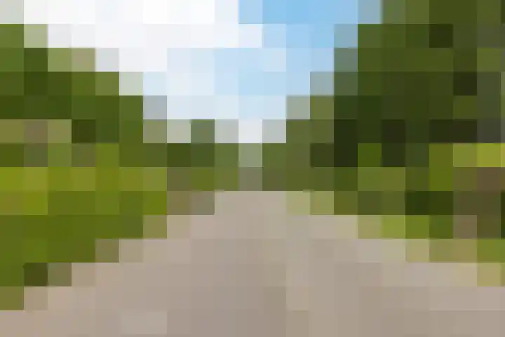 Nolweg 2 D Maasdijk thumbnail 76