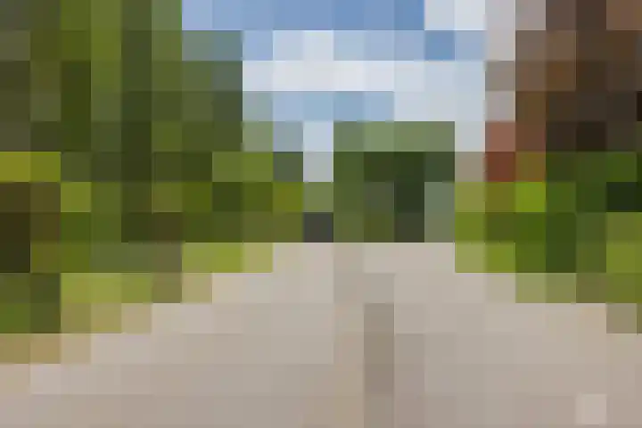 Nolweg 2 D Maasdijk thumbnail 77