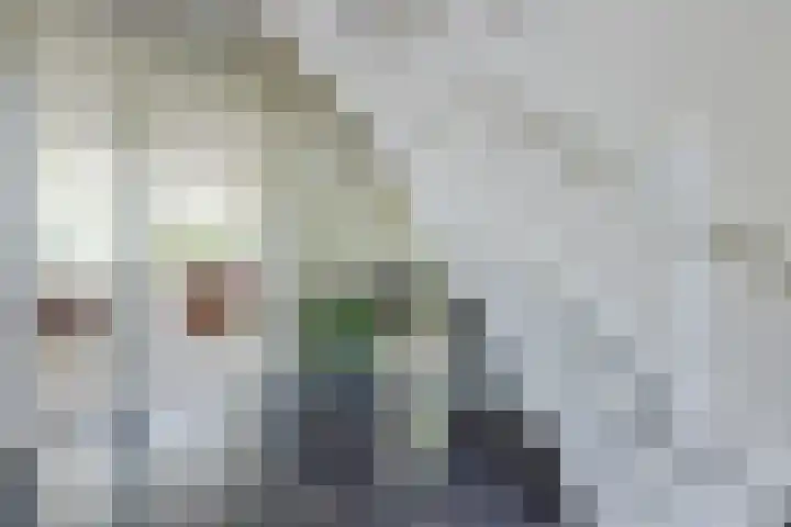 Nolweg 2 D Maasdijk thumbnail 8