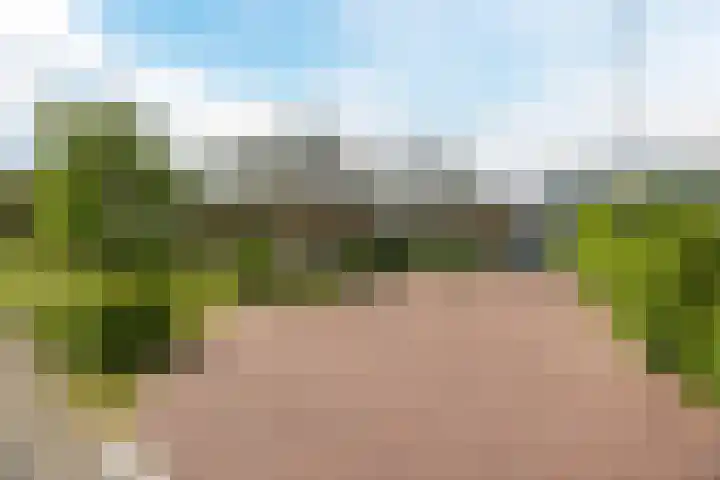 Nolweg 2 D Maasdijk thumbnail 83