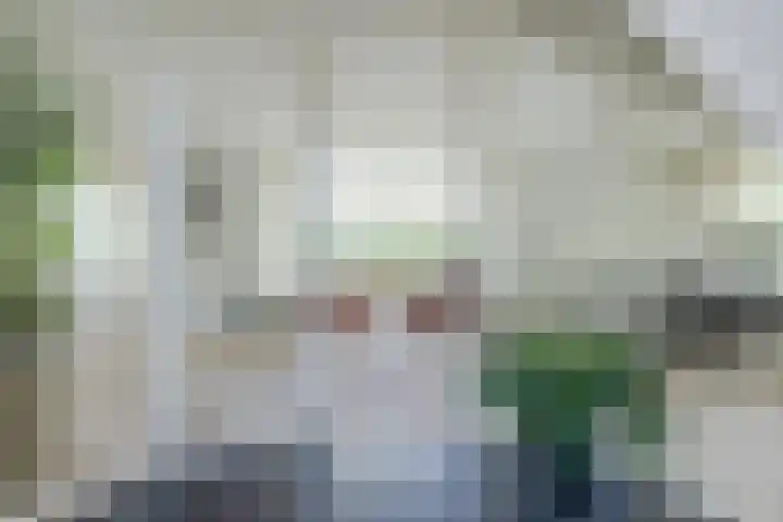 Nolweg 2 D Maasdijk thumbnail 9