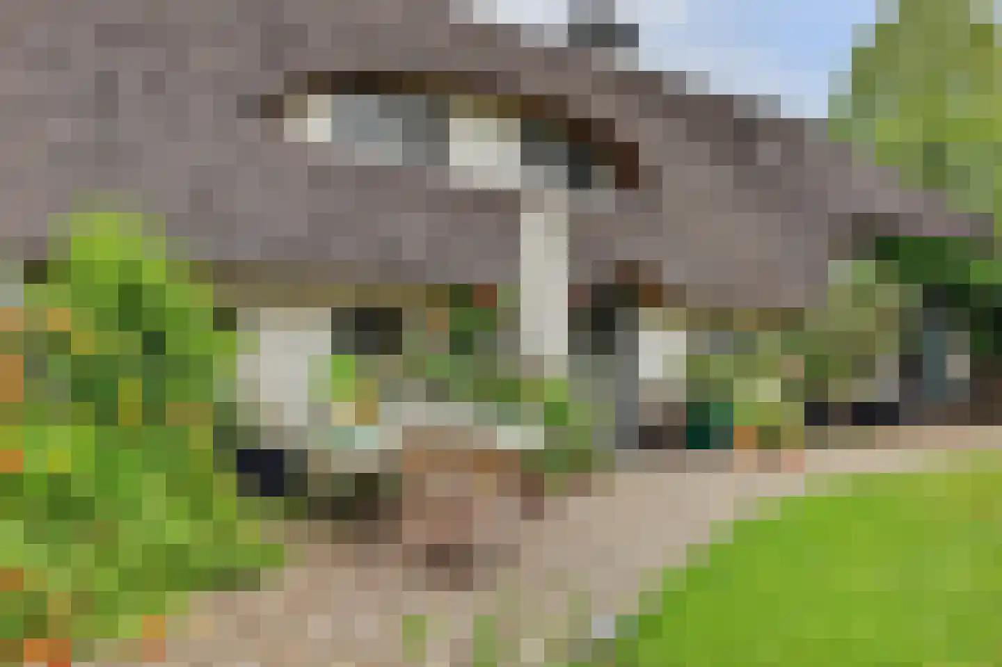 Nolweg 30 Schelluinen thumbnail 11