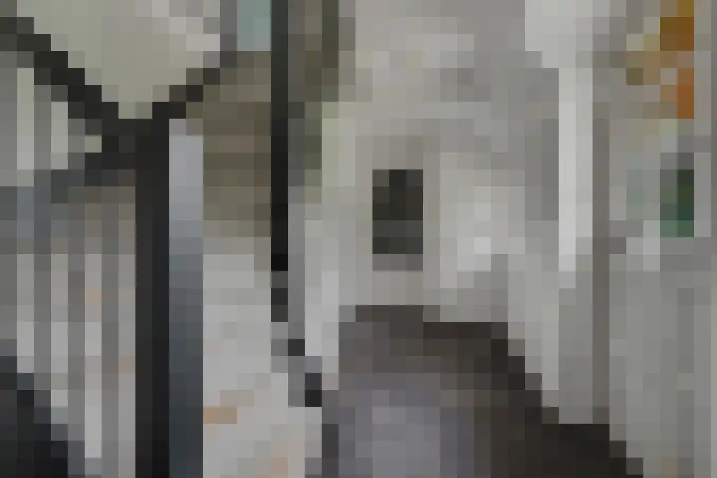 Nolweg 30 Schelluinen thumbnail 13
