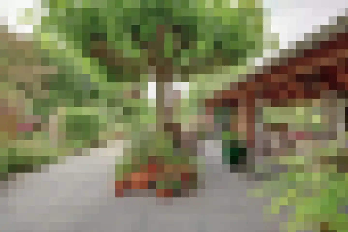 Nolweg 30 Schelluinen thumbnail 19