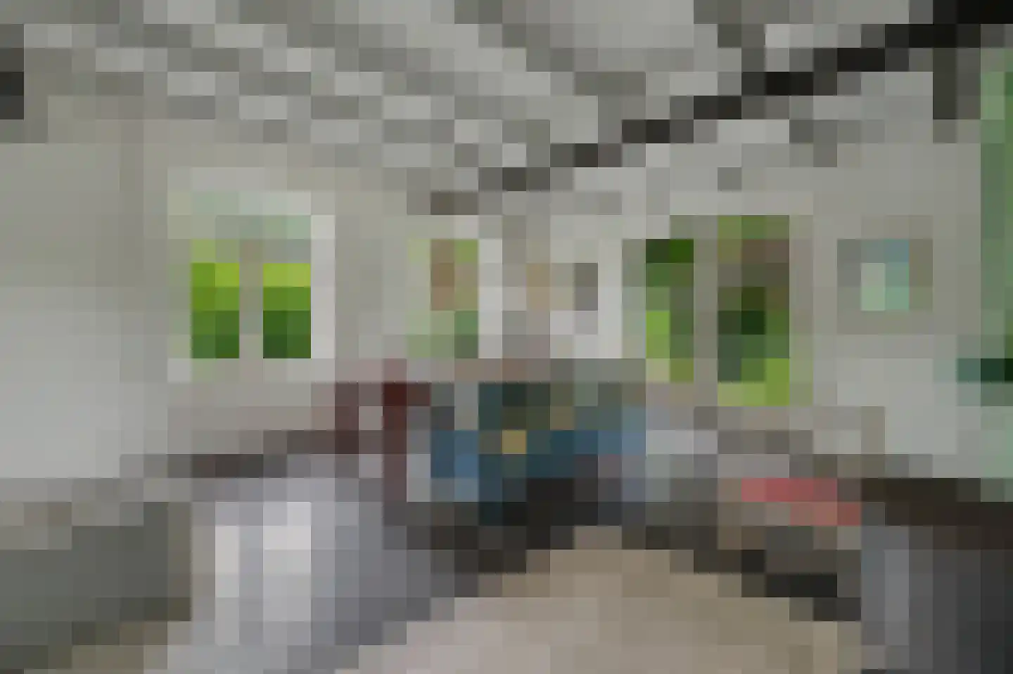 Nolweg 30 Schelluinen thumbnail 24