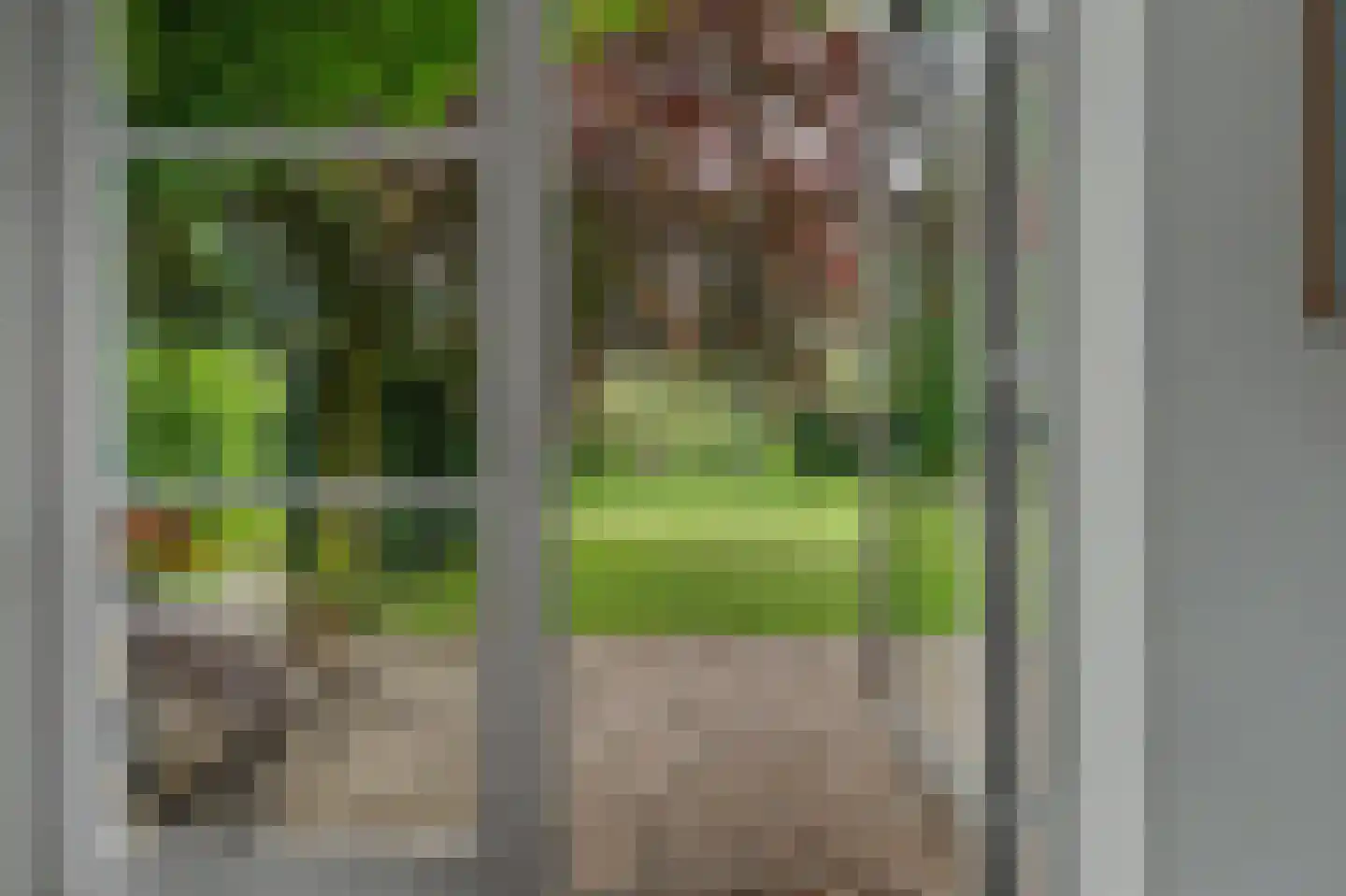 Nolweg 30 Schelluinen thumbnail 30