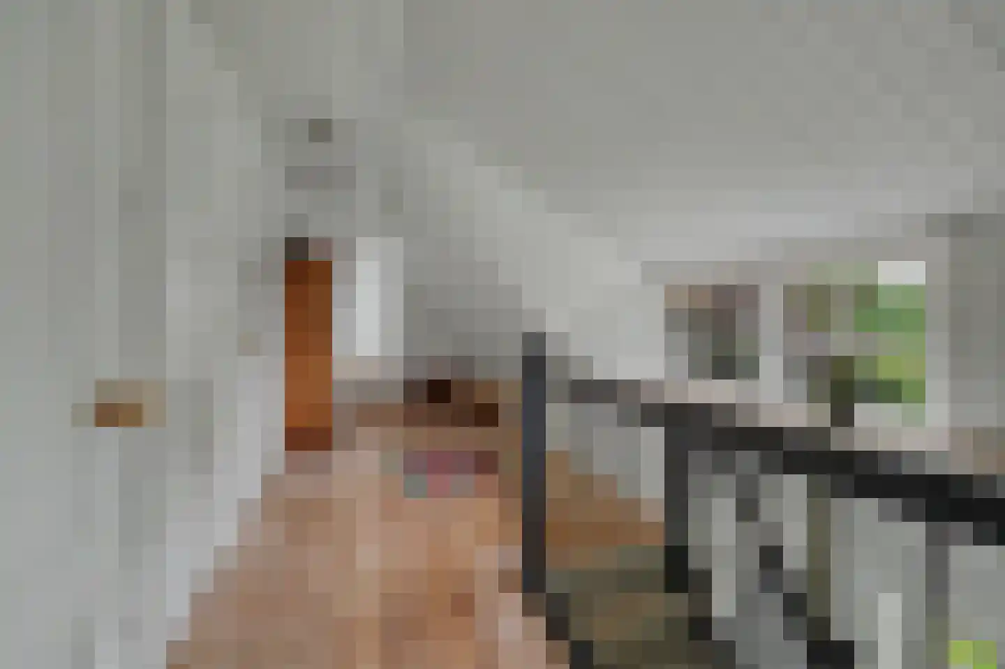 Nolweg 30 Schelluinen thumbnail 31