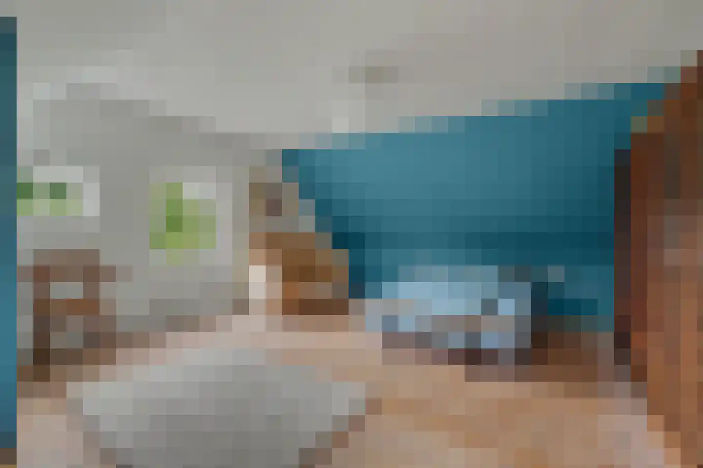 Nolweg 30 Schelluinen thumbnail 34