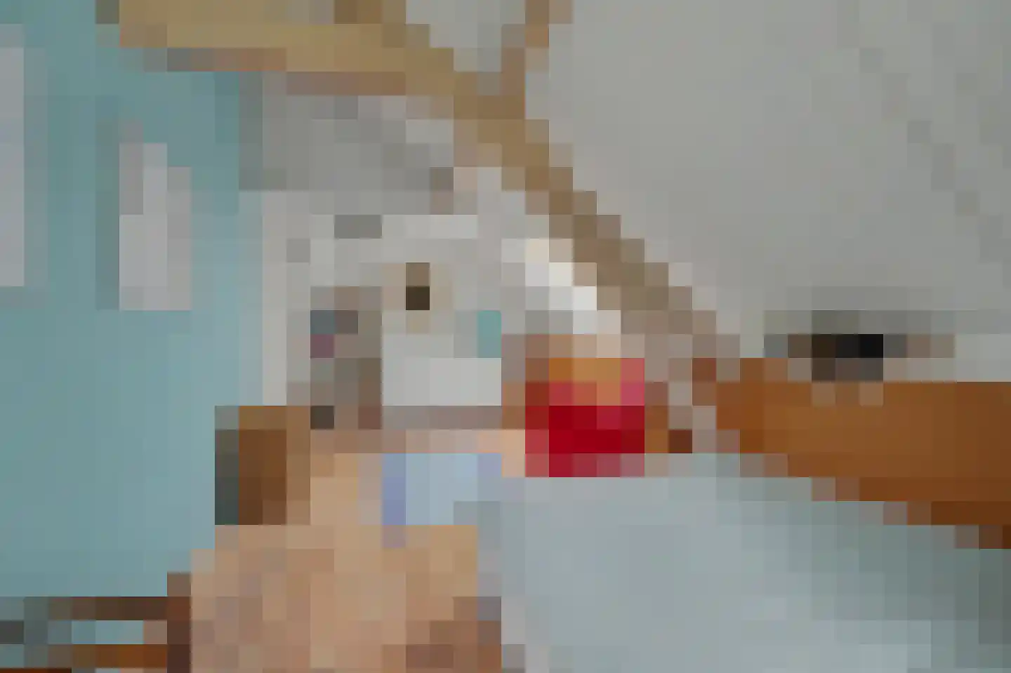 Nolweg 30 Schelluinen thumbnail 38