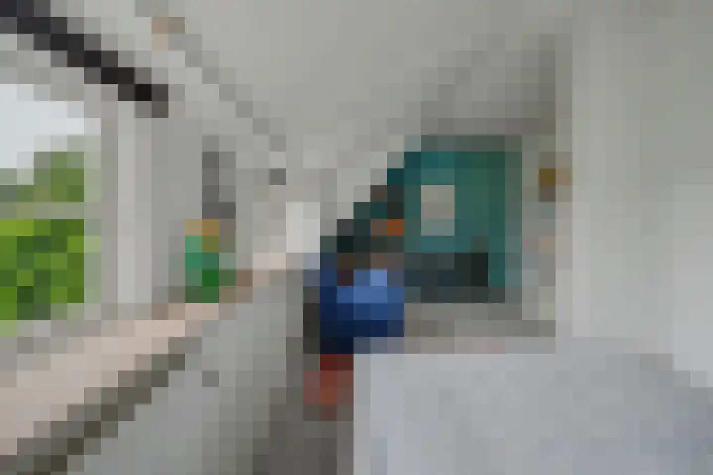 Nolweg 30 Schelluinen thumbnail 40