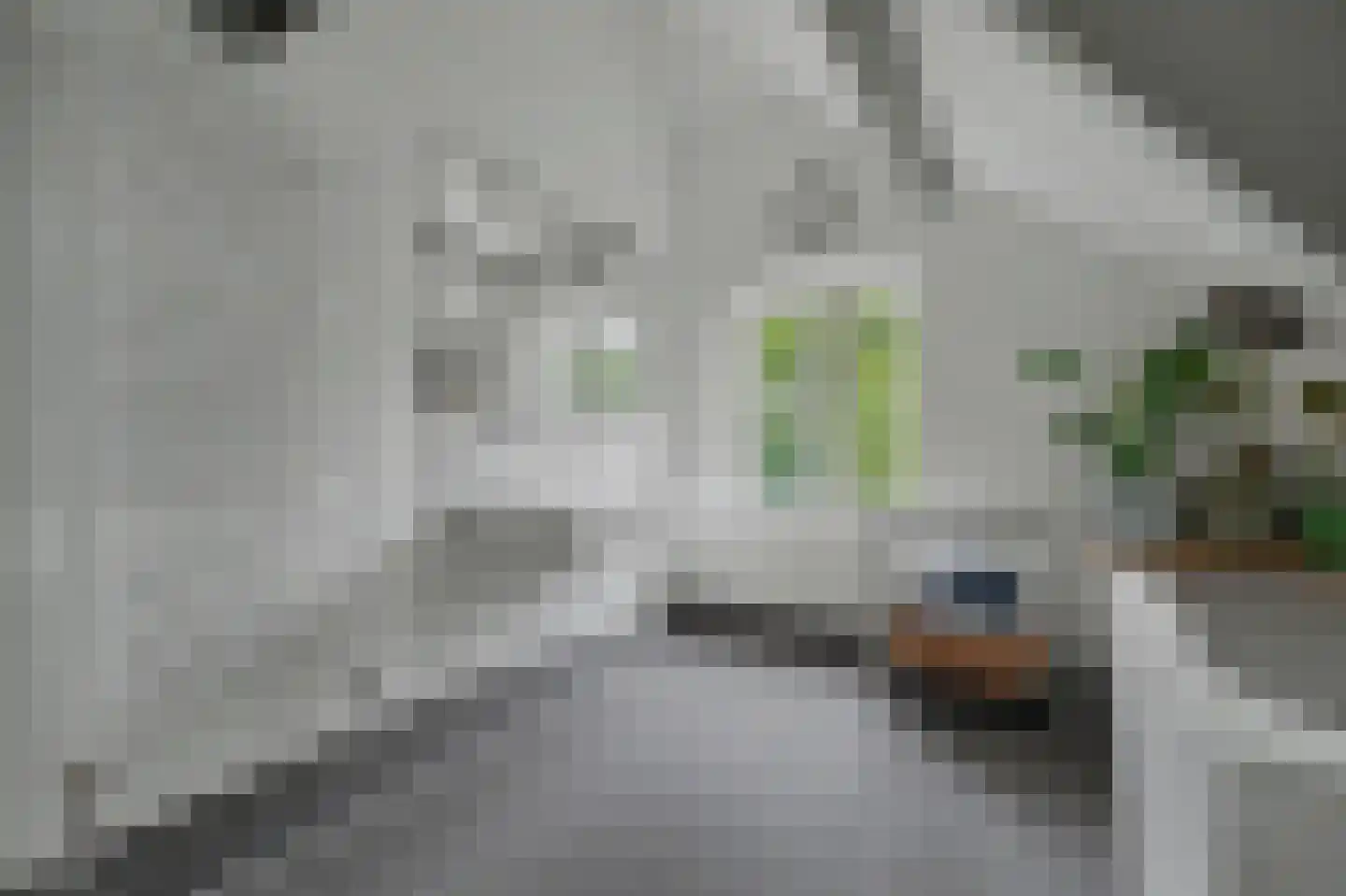 Nolweg 30 Schelluinen thumbnail 45
