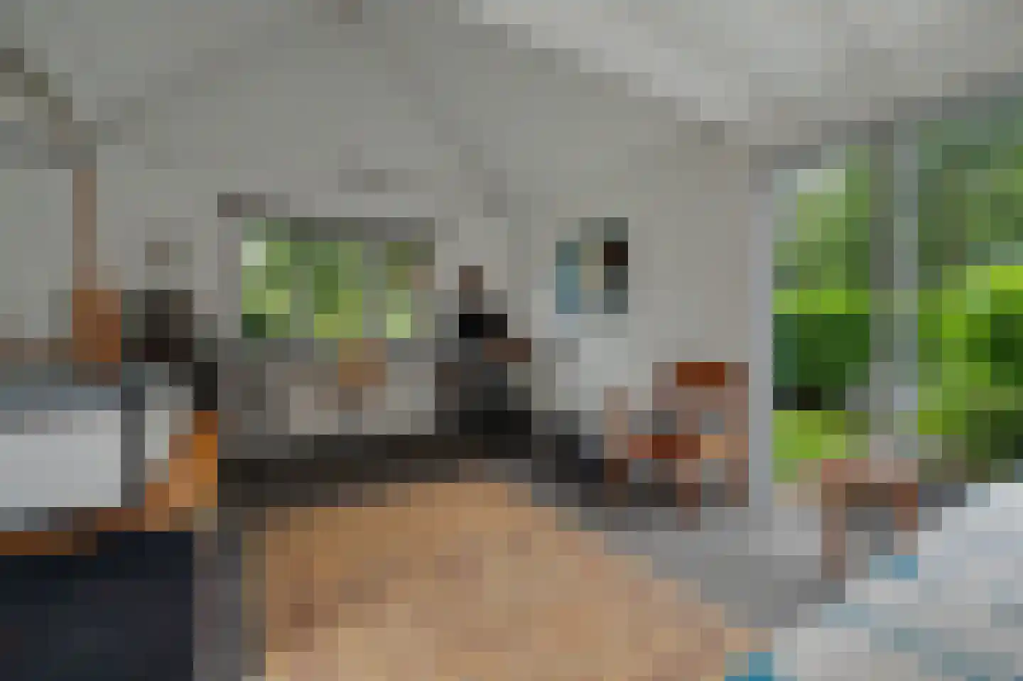 Nolweg 30 Schelluinen thumbnail 49