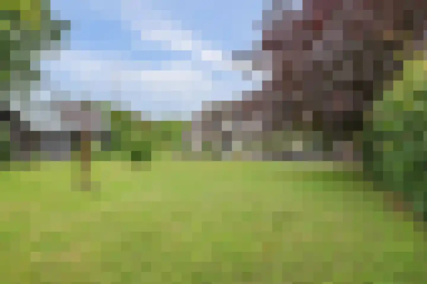 Nolweg 30 Schelluinen thumbnail 5