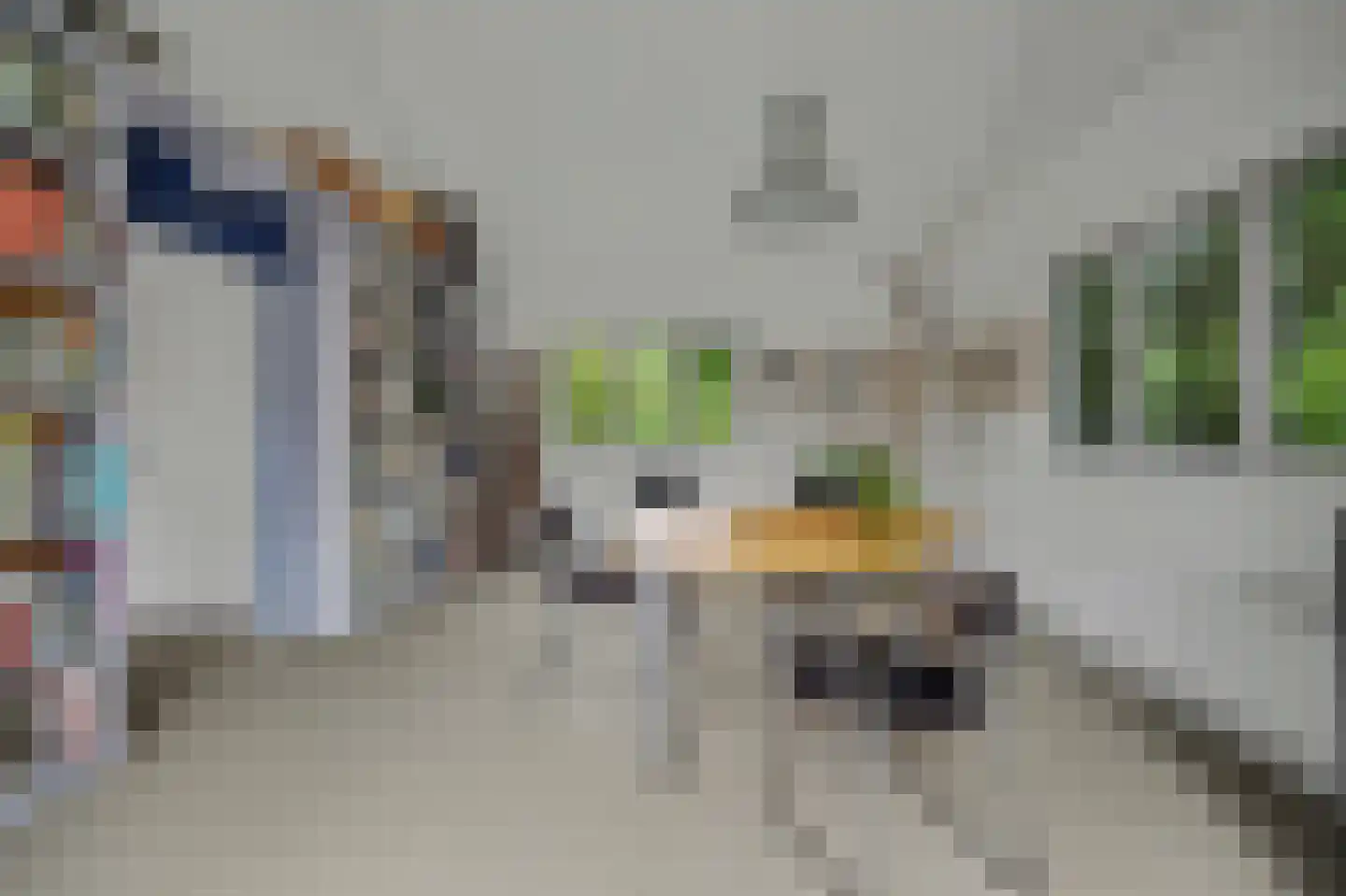Nolweg 30 Schelluinen thumbnail 56