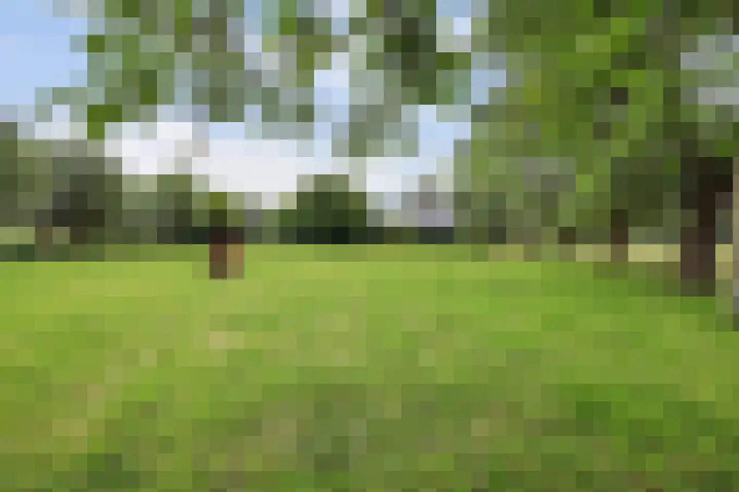 Nolweg 30 Schelluinen thumbnail 6