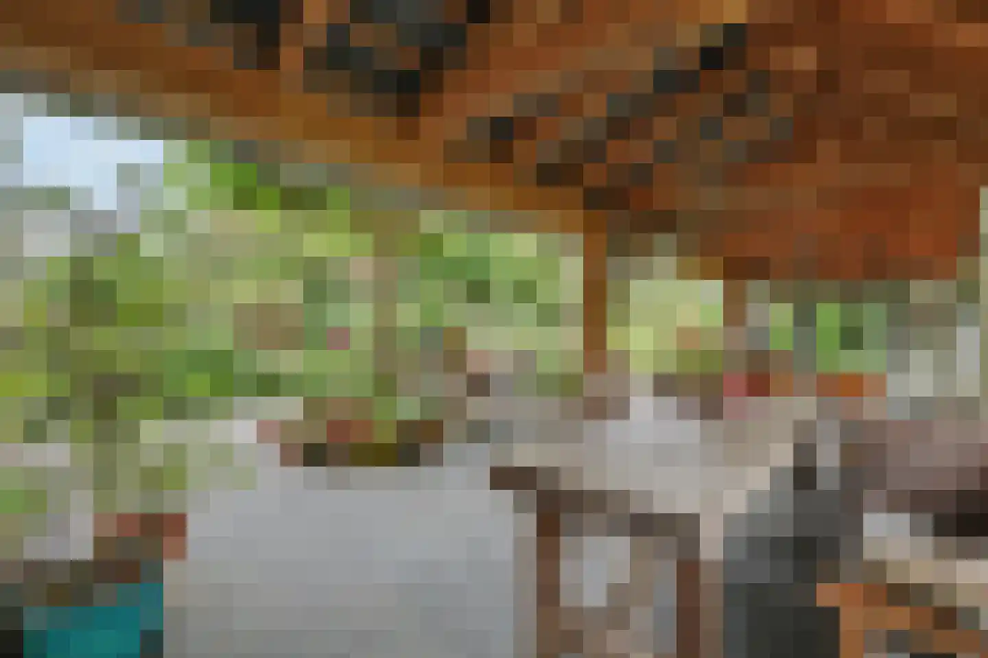 Nolweg 30 Schelluinen thumbnail 60