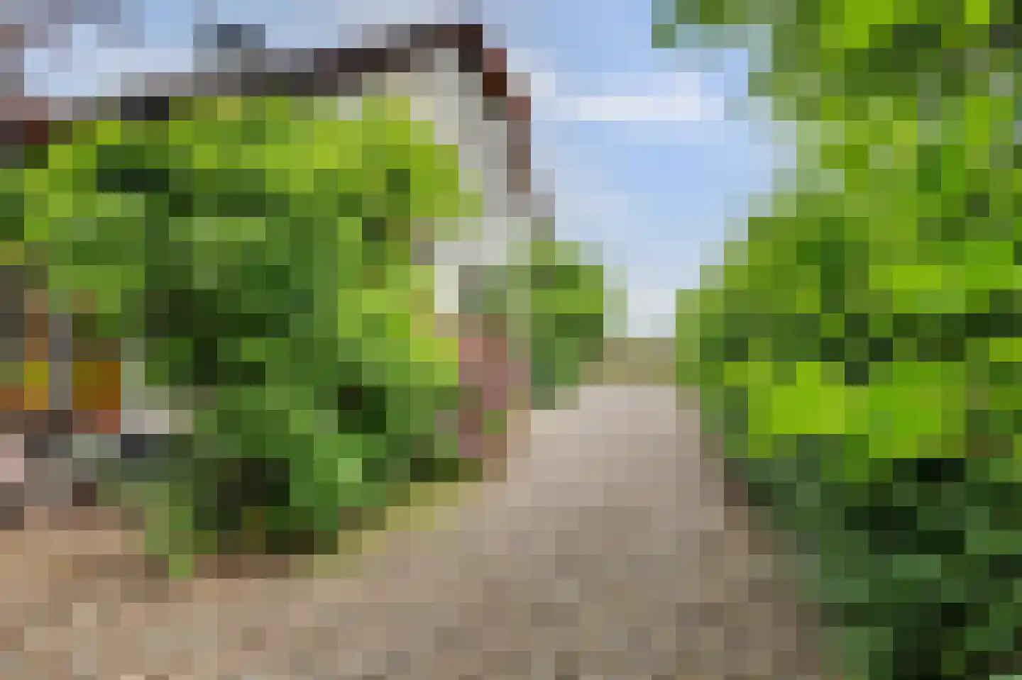 Nolweg 30 Schelluinen thumbnail 62