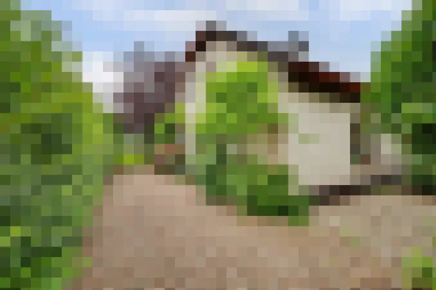 Nolweg 30 Schelluinen thumbnail 63