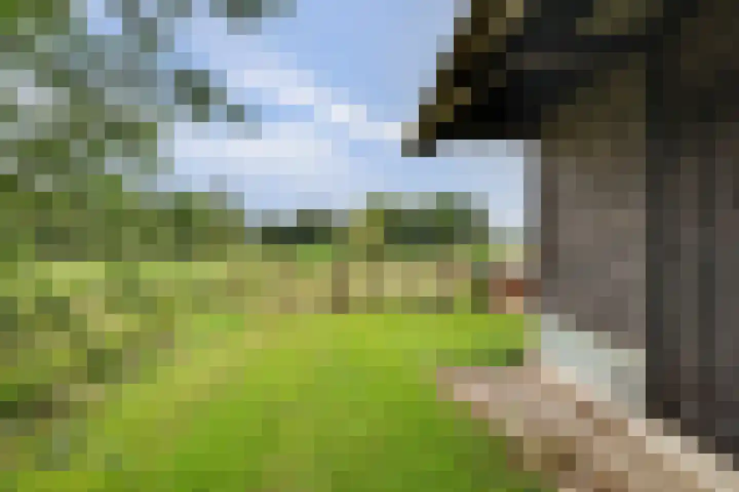 Nolweg 30 Schelluinen thumbnail 65