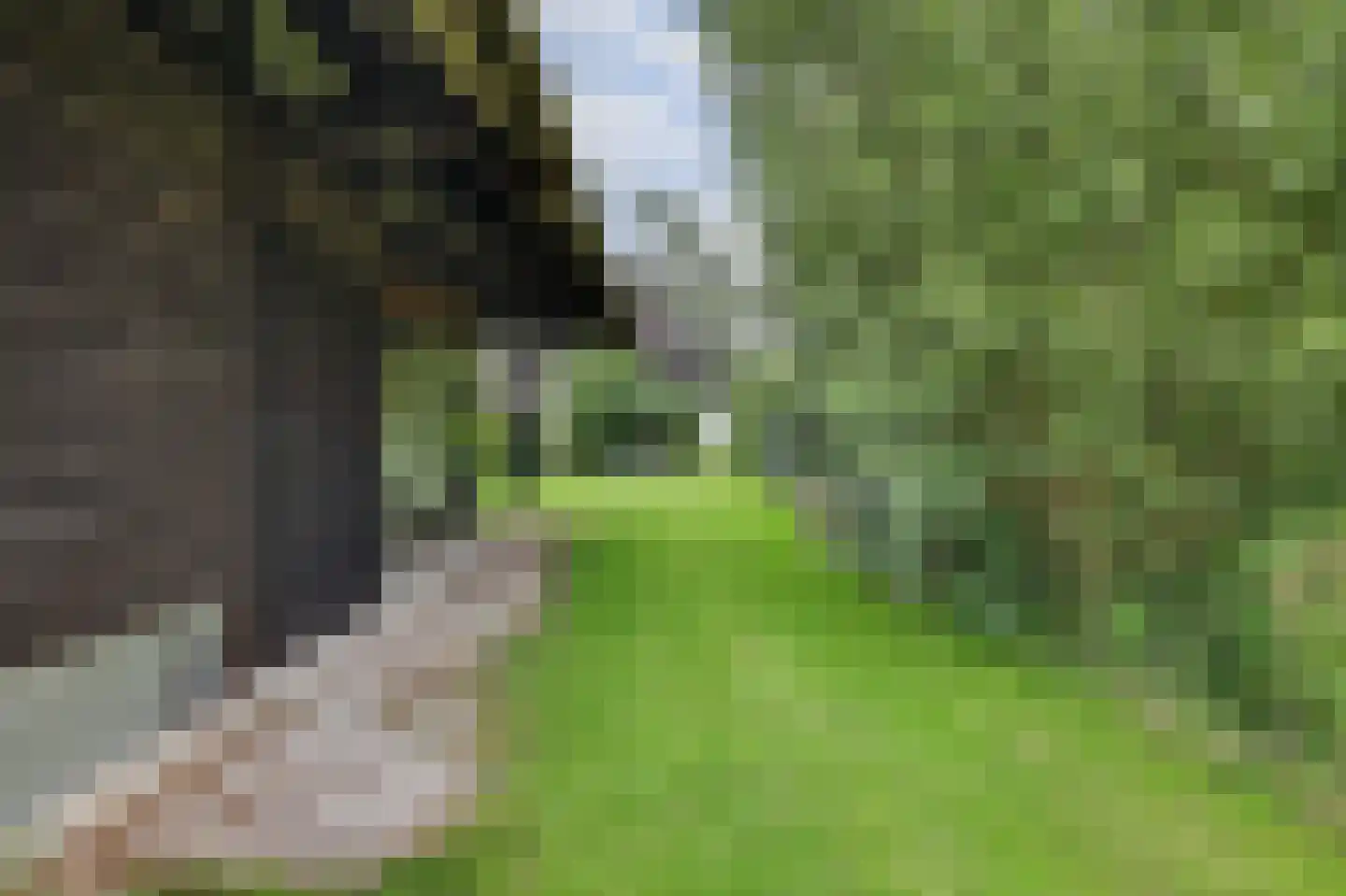 Nolweg 30 Schelluinen thumbnail 66