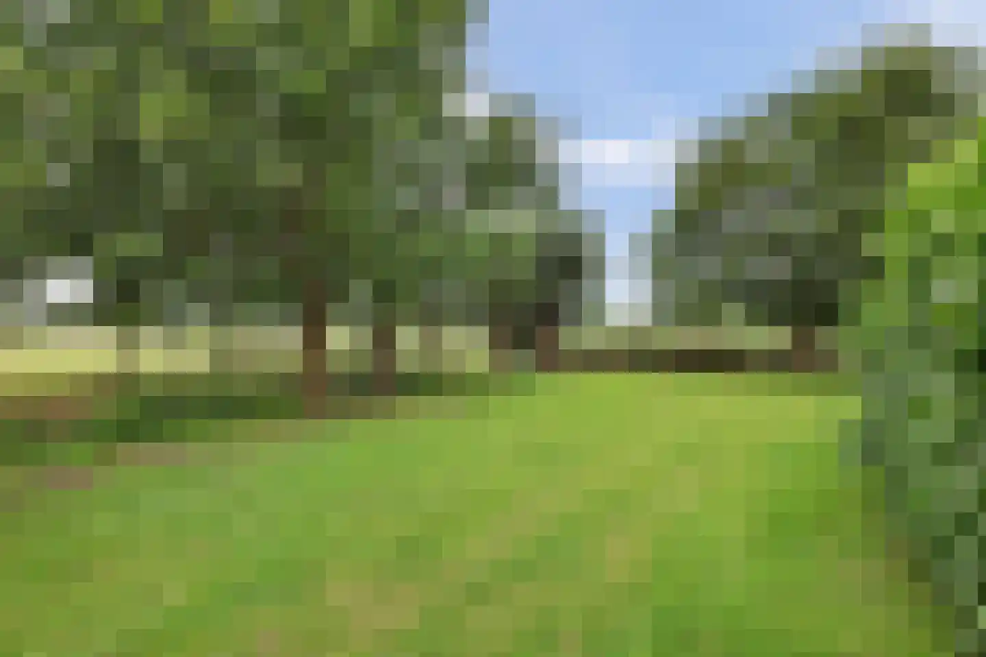 Nolweg 30 Schelluinen thumbnail 67