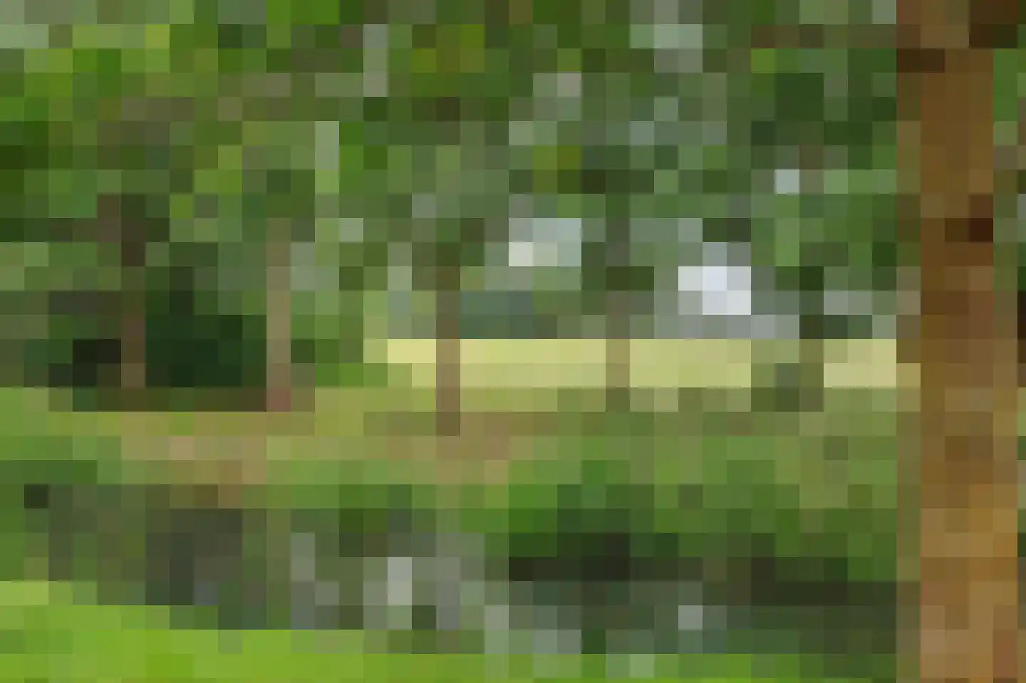 Nolweg 30 Schelluinen thumbnail 68