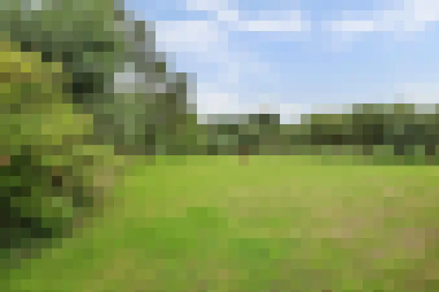 Nolweg 30 Schelluinen thumbnail 69