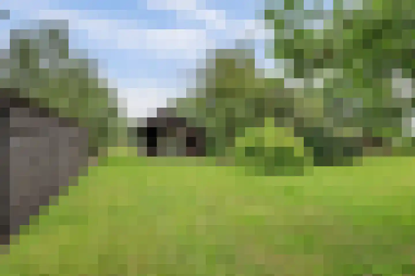 Nolweg 30 Schelluinen thumbnail 7
