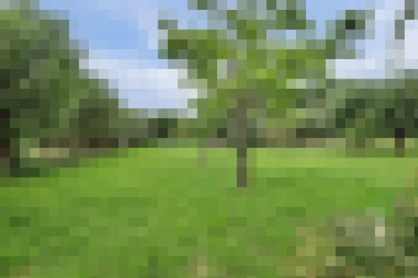 Nolweg 30 Schelluinen thumbnail 70
