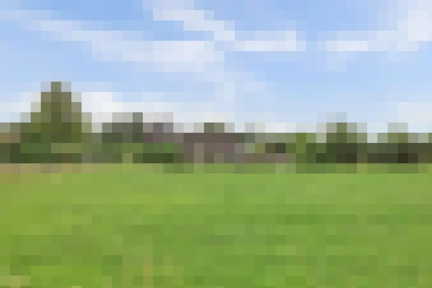 Nolweg 30 Schelluinen thumbnail 71