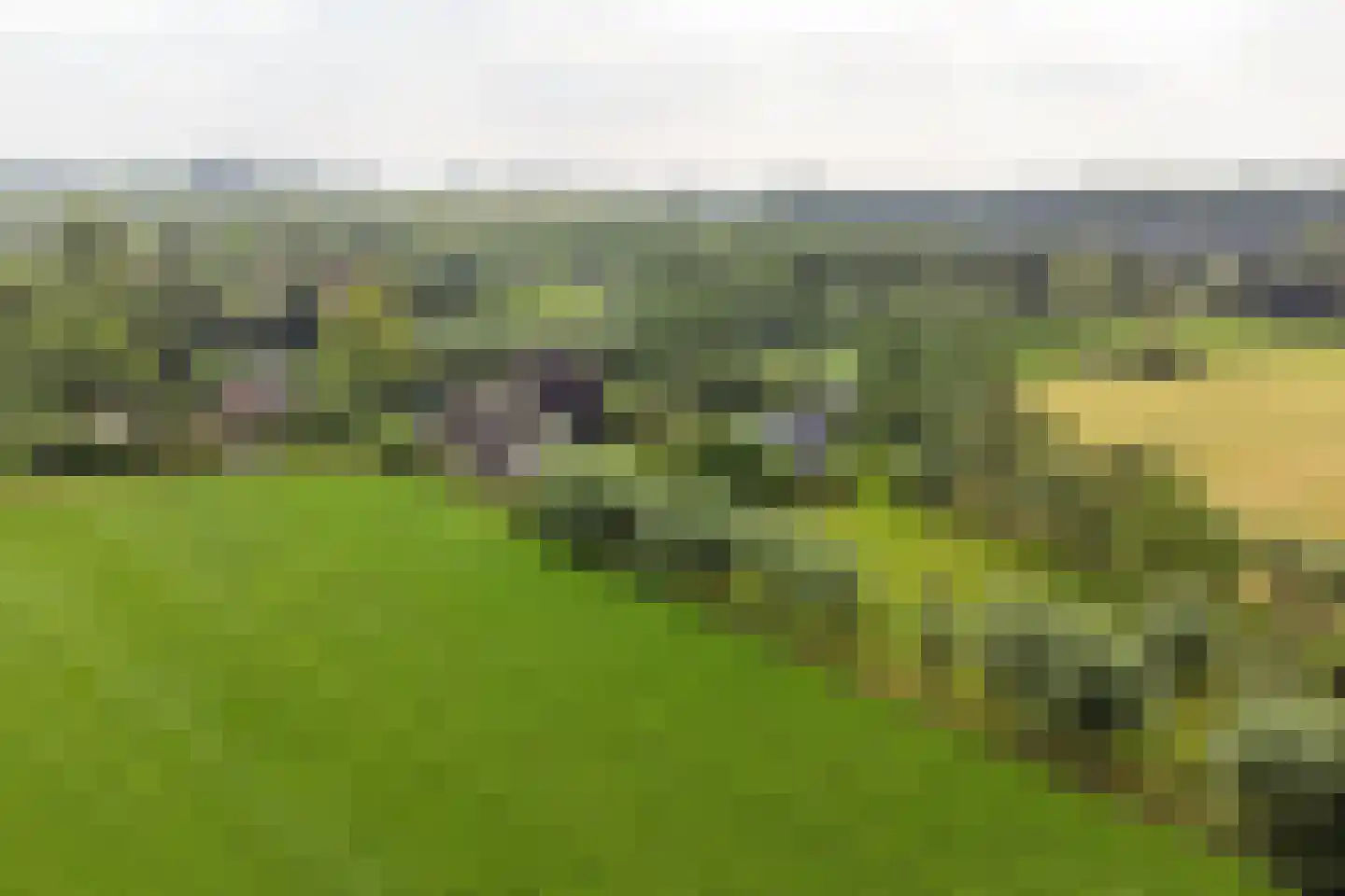 Nolweg 30 Schelluinen thumbnail 72