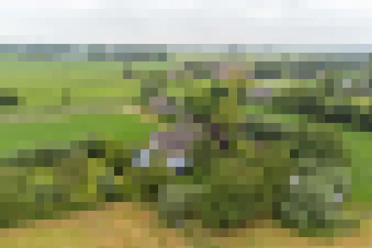 Nolweg 30 Schelluinen thumbnail 73