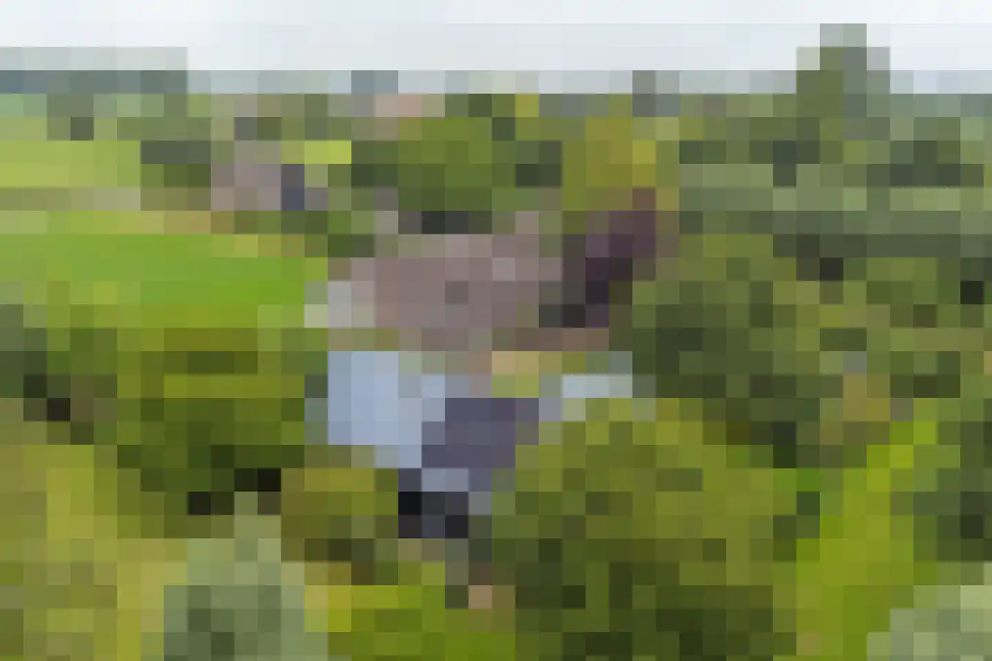 Nolweg 30 Schelluinen thumbnail 74