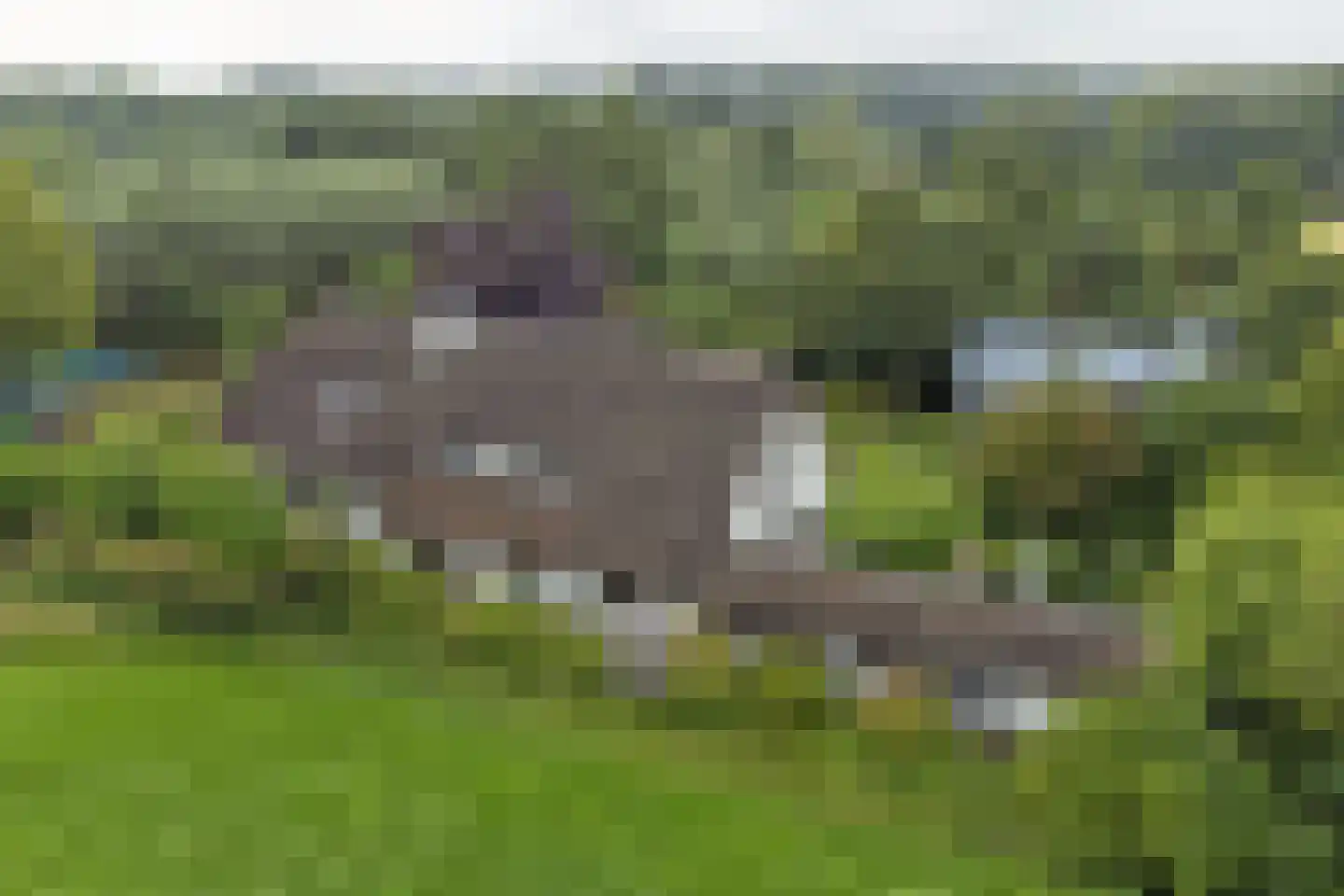 Nolweg 30 Schelluinen thumbnail 76