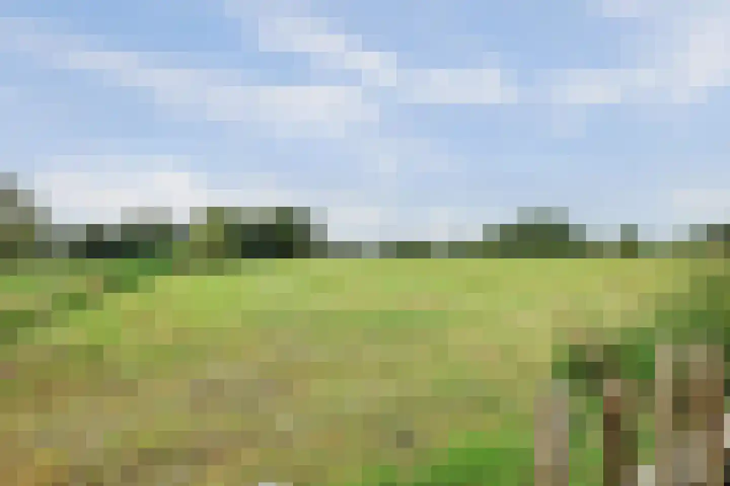 Nolweg 30 Schelluinen thumbnail 8