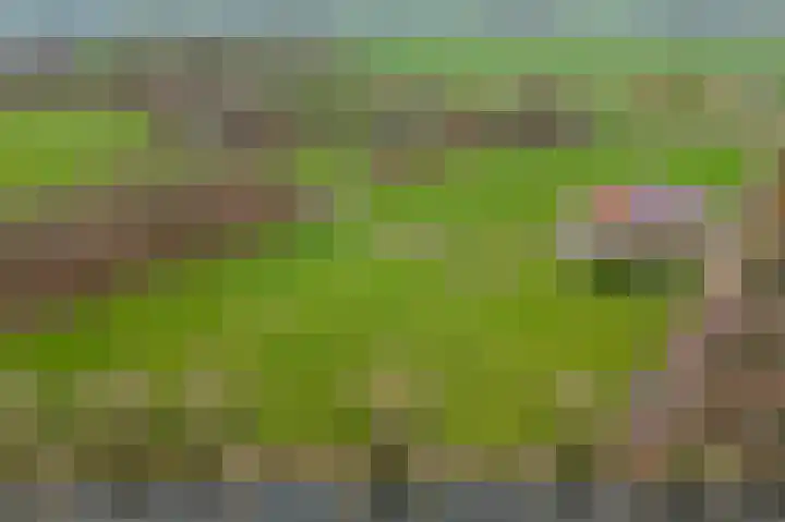 Nolweg 36 Schelluinen thumbnail 4