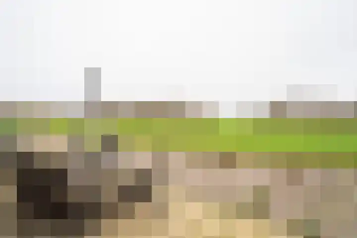 Nolweg 36 Schelluinen thumbnail 41