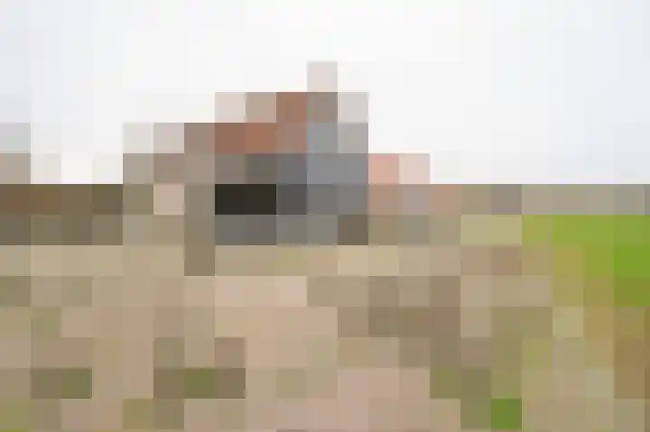 Nolweg 36 Schelluinen thumbnail 42