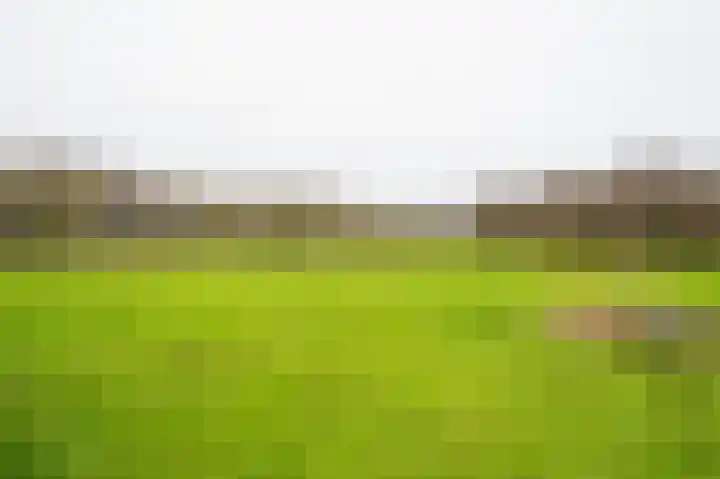 Nolweg 36 Schelluinen thumbnail 43