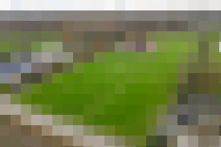Nolweg 36 Schelluinen thumbnail 44