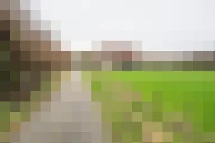 Nolweg 36 Schelluinen thumbnail 5