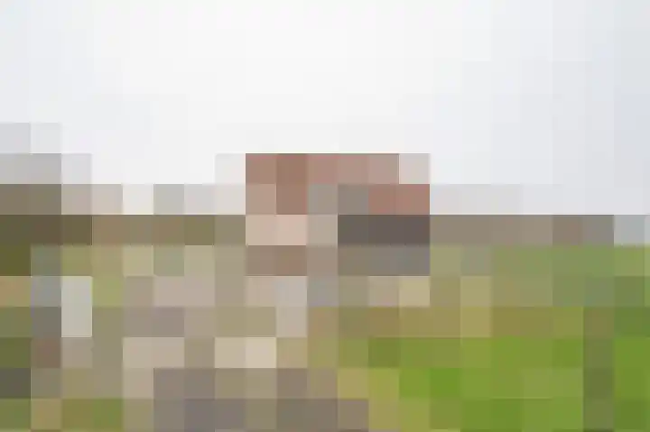 Nolweg 36 Schelluinen thumbnail 6
