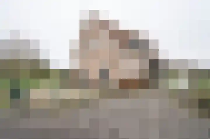 Nolweg 36 Schelluinen thumbnail 8