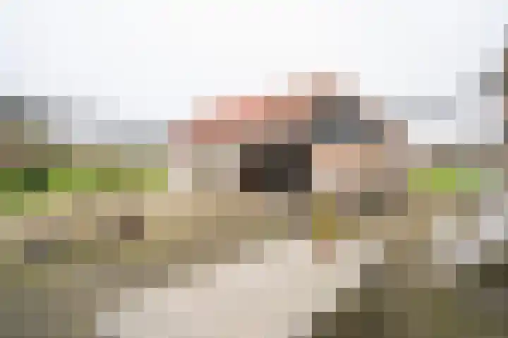 Nolweg 36 Schelluinen thumbnail 9