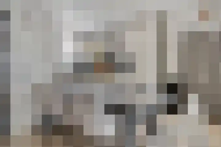 Nomadenkreek 16 Spijkenisse thumbnail 10